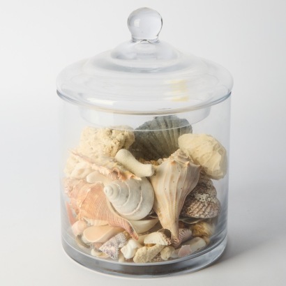 A Large Lidded Glass with Natural Shells