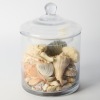 A Large Lidded Glass with Natural Shells