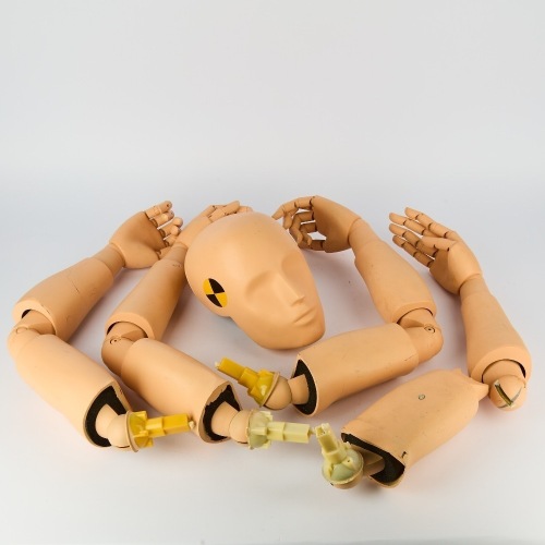 A Collection of ANCAP Crash Test Dummy Head and Limbs