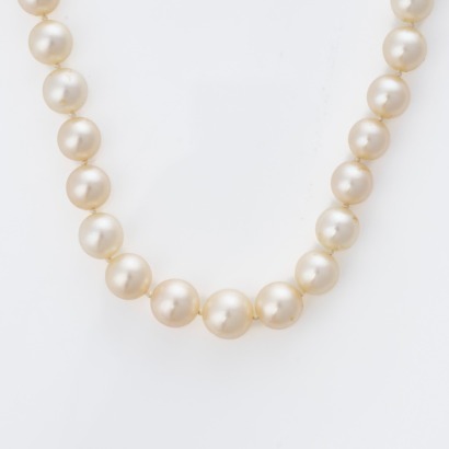 Single Strand, 43cm Cream Cooured Pearl Necklace featuring an 18ct Yellow Gold Clasp