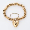 9ct Yellow Gold, 18cm Belcher-Link Bracelet