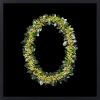 YUKI KIHARA Aotea'ula Twantetri (Tāwhiri Karo / Pittosporum Cornifolium) (2026)