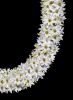 YUKI KIHARA Aotea'ula Twantefo (Puawhānanga / Clematis Paniculata) (2026) - 2