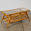 A Mid-Century Cane Coffee Table