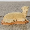 An Antique Taxidermy Lamb