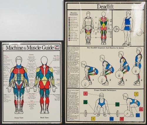 A Pair of 'Fitnus' Educational Exercise Prints