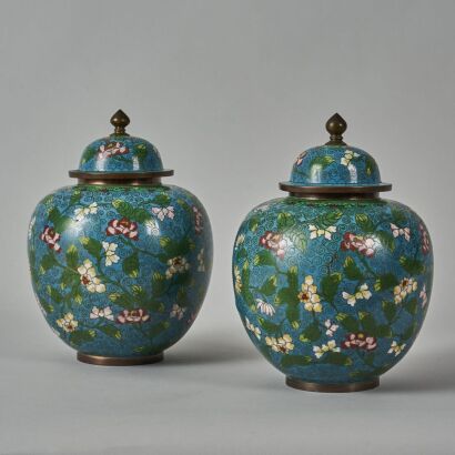 A Pair of Chinese Cloisonne Vase