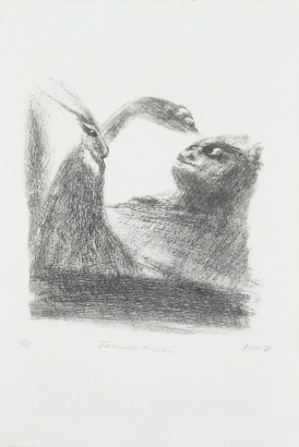 TONY FOMISON Tarawera Eruption