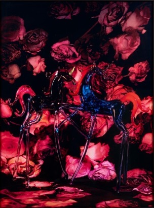 FIONA PARDINGTON Unicorn Lovers