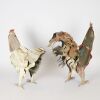JEFF THOMSON Red Rooster, White Hen - 2