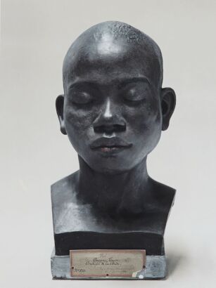 FIONA PARDINGTON Koe