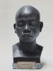 FIONA PARDINGTON Koe