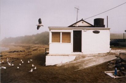 ROBIN MORRISON untitled