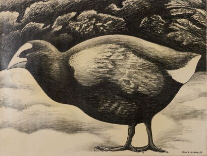 DON BINNEY Takahe III