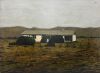 MICHAEL SHEPHERD Waiwurri, from the east