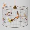 A Petite Voliere Pendant Light by Mathieu Challieres