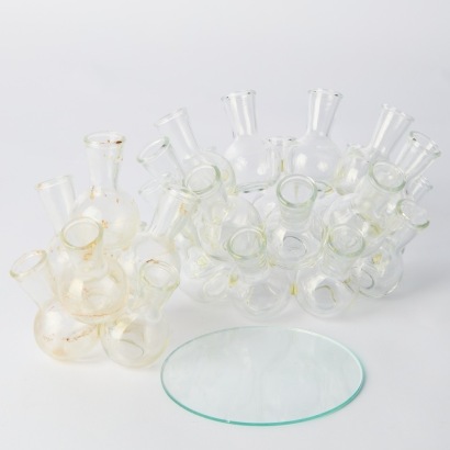 A Vintage Glass Propagation Station