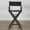 A Modern Director Style Chair