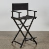 A Modern Director Style Chair - 2