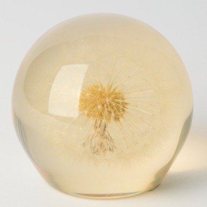 A Vintage Acrylic Wildflower Paperweight