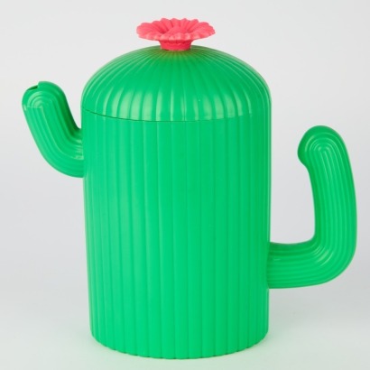 A Cactus Plastic Water Jug