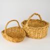 A Pair of Cane Gathering Basket