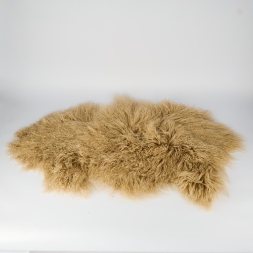 A Tibetan Lamb Hide in Tree Bark