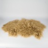 A Tibetan Lamb Hide in Tree Bark