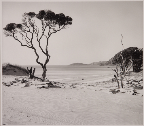 JENNER ZIMMERMANN Above Pakiri Beach