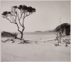 JENNER ZIMMERMANN Above Pakiri Beach