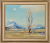 DON NEILSON Mt Cook from Glentanner station - 2