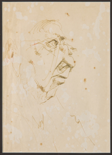 GARTH TAPPER untitled