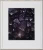 YVONNE TODD Crepuscular Ice - 2