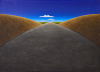 JOCHEN SCHMIDT Womans Road