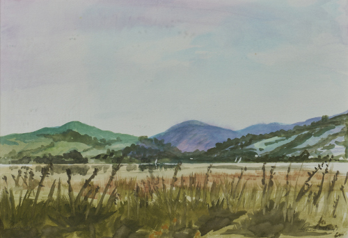 GERARD MILLS untitled