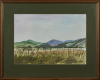 GERARD MILLS untitled - 2
