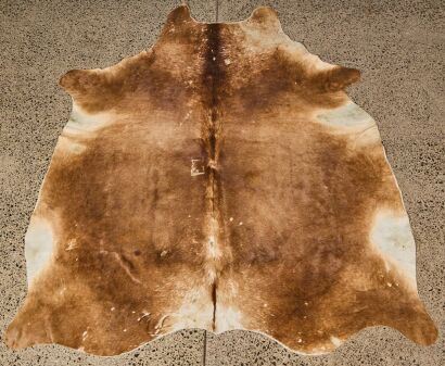 A Brown Cow Hide Rug