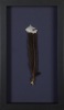 A Framed Huia Feather, Aotearoa