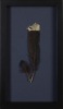 Two Framed Huia Feathers, Aotearoa