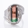 Platinum, 4.00ct Tourmaline / 0.29ct Diamond Dress Ring