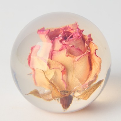 A Flowers from NZ Rose Lucite Paperweight