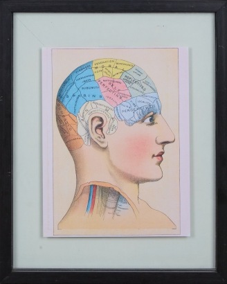 A Phrenology Head Chart Wall Hung Picture