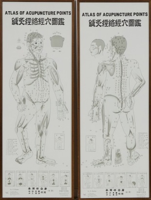 A Pair Of Wall Hung &sbquo;&Auml;&ograve;Atlas Of Acupuncture Points&sbquo;&Auml;&ocirc; Maps