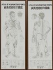 A Pair Of Wall Hung &sbquo;&Auml;&ograve;Atlas Of Acupuncture Points&sbquo;&Auml;&ocirc; Maps