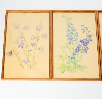 A Set of Five Vintage German Original Botanical Watercolours