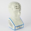 A ceramic Phrenology bust