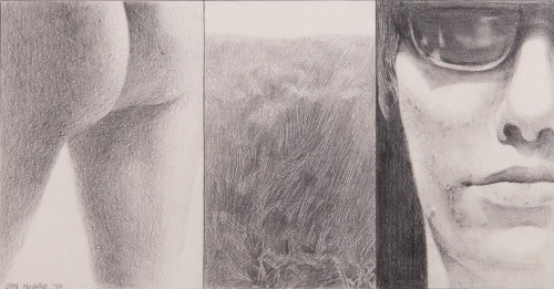 JAN NIGRO Untitled (Diptych)