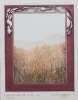 CAROLE SHEPERD Riverside Grass, Late Spring