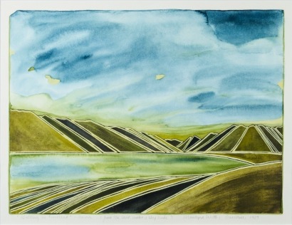 MARILYNN WEBB Walking in Fiordland - Marua (From the land water and sky series)