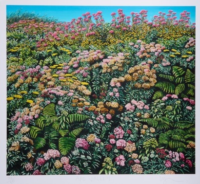 KARL MAUGHAN Aro Valley 1999